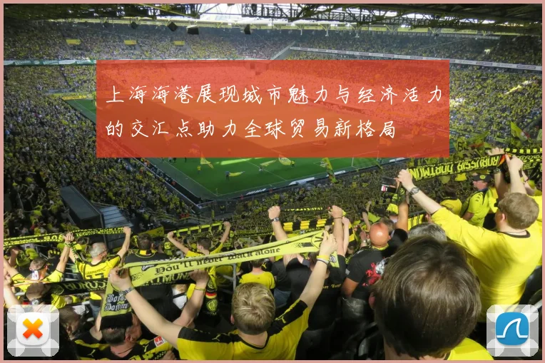 上海海港展现城市魅力与经济活力的交汇点助力全球贸易新格局