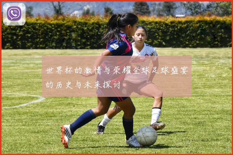 世界杯的激情与荣耀全球足球盛宴的历史与未来探讨