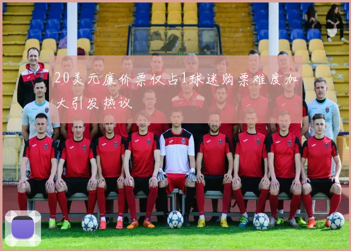 20美元廉价票仅占1球迷购票难度加大引发热议