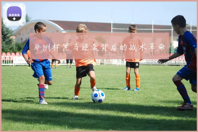 非洲杯黑马逆袭背后的战术革命