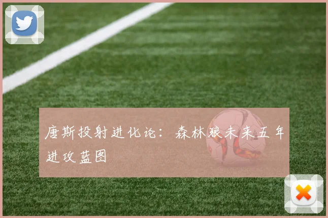 唐斯投射进化论：森林狼未来五年进攻蓝图